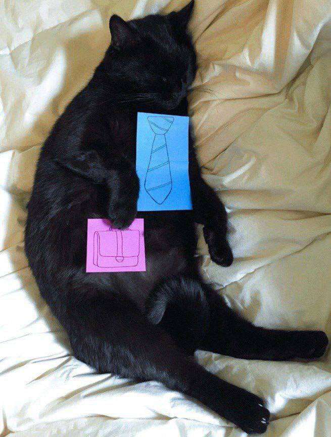 Picdump 7 4