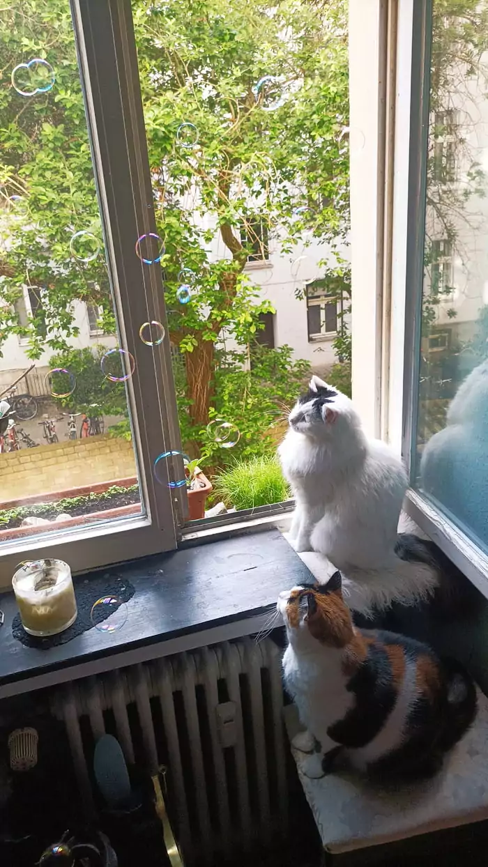 Picdump 22 16