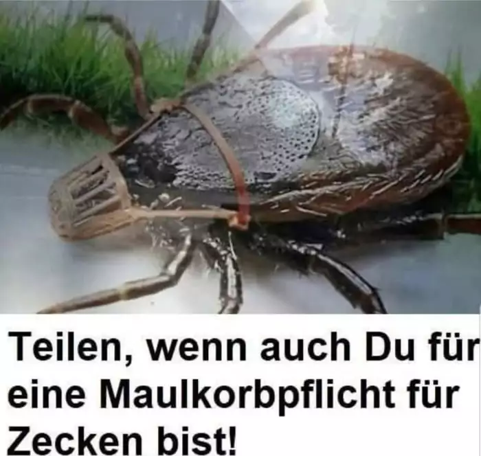 Picdump 22 23