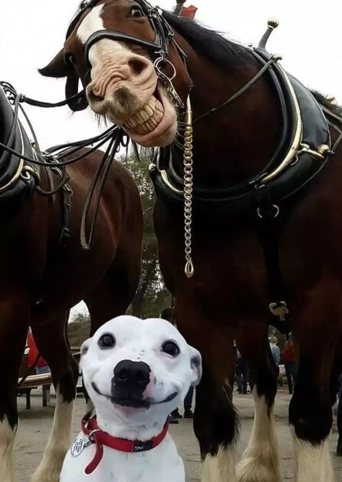 Picdump 22 6