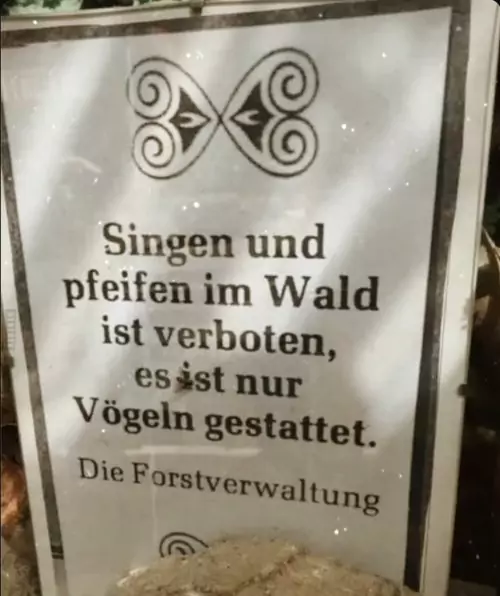 musizieren wald
