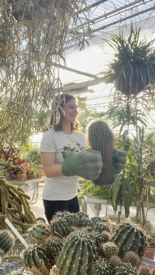 Als Gärtnerin mit Kackten arbeiten gaertner arbeit