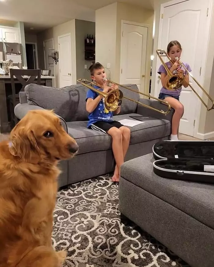 Wenn Kinder auf Instrumenten spielen Picdump 30 20