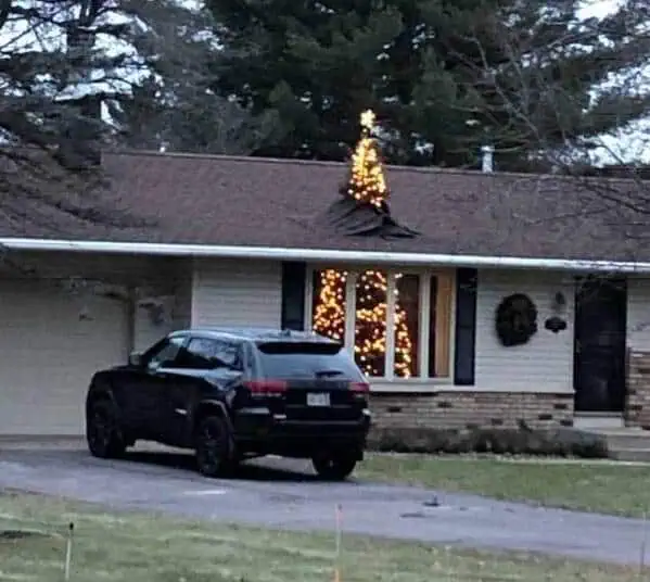 Wenn der Weihnachtsbaum zu groß ist weihnachtsbaum gross