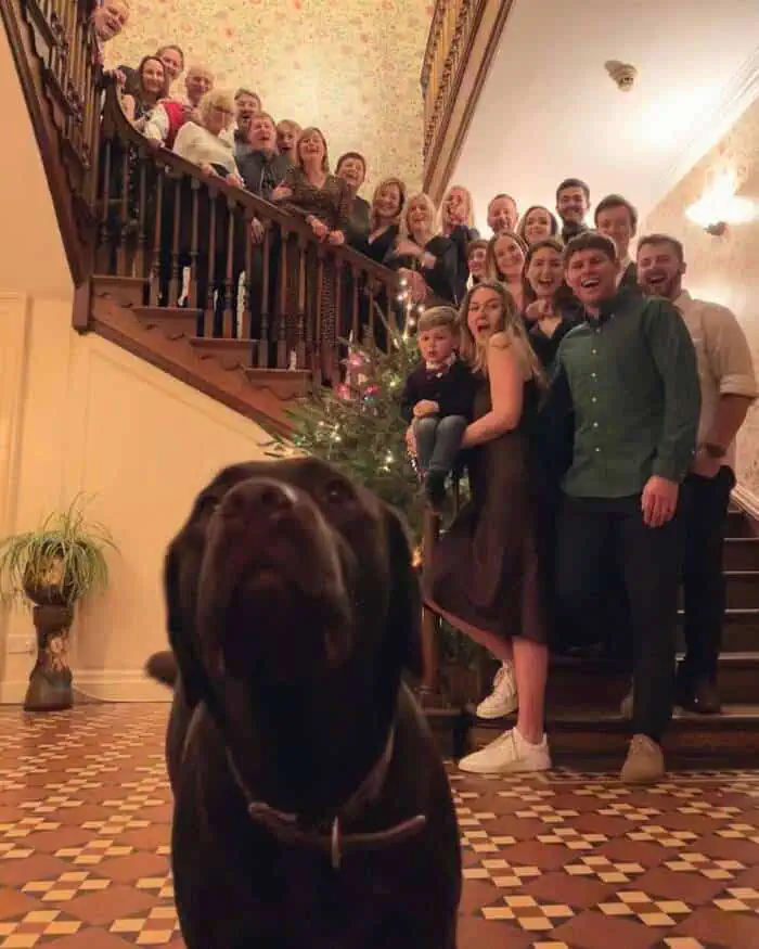 Wer von uns ist am wichtigsten? hund menschen