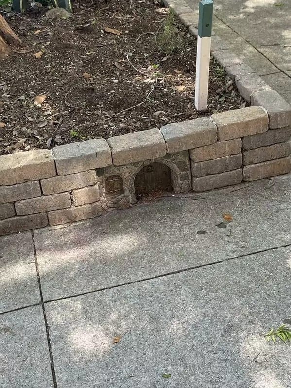 Zwerge gibt es wirklich zwerge leben