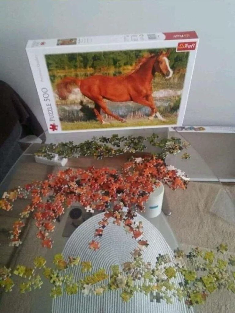 puzzle-fertig