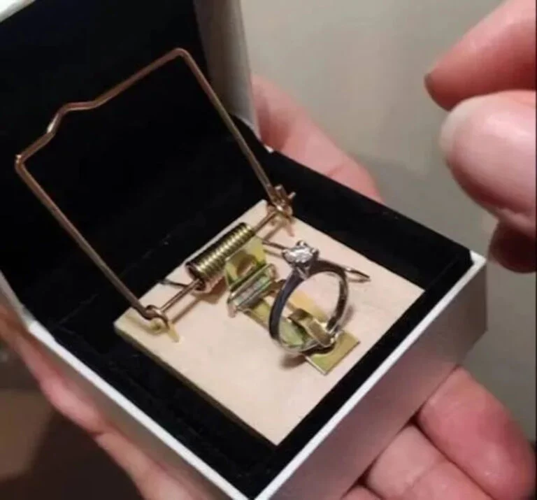 ring sichern