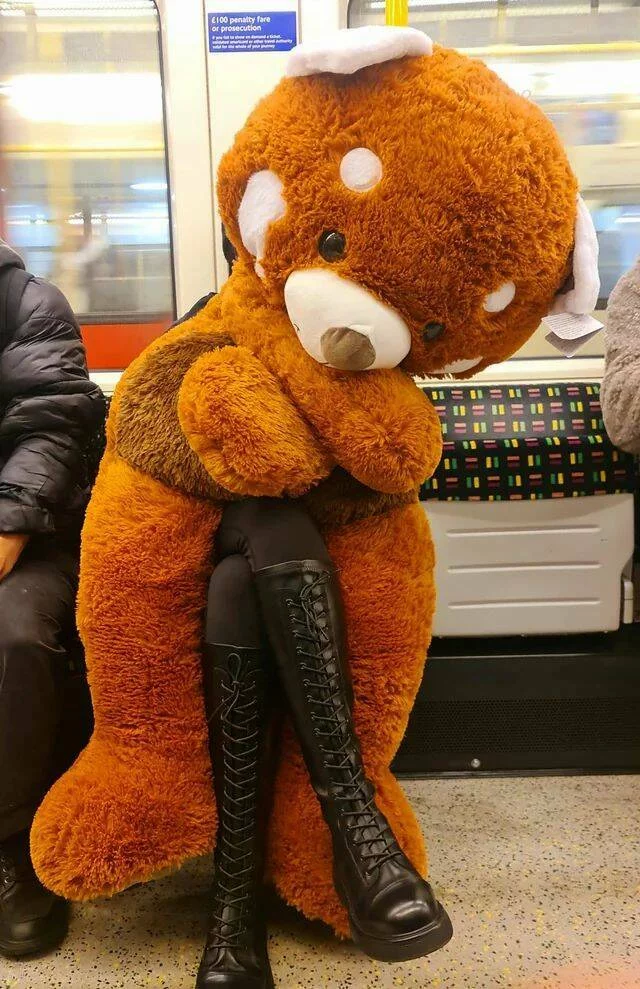 baer kuscheln