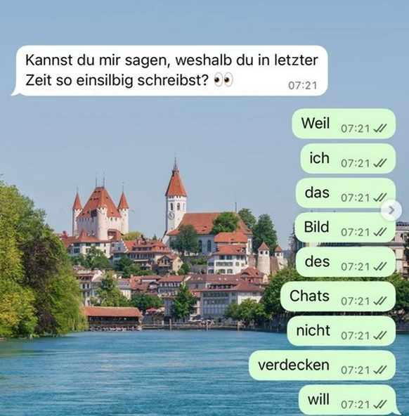 Warum bist du so einsilbig geworden? ein-wort