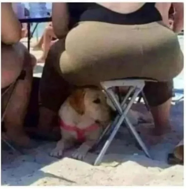 Picdump 31 1 18