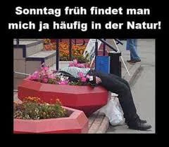 Picdump 31 1 19