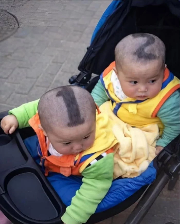 Picdump 31 1 27