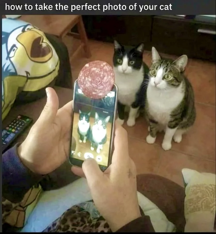 Picdump 31 1 8