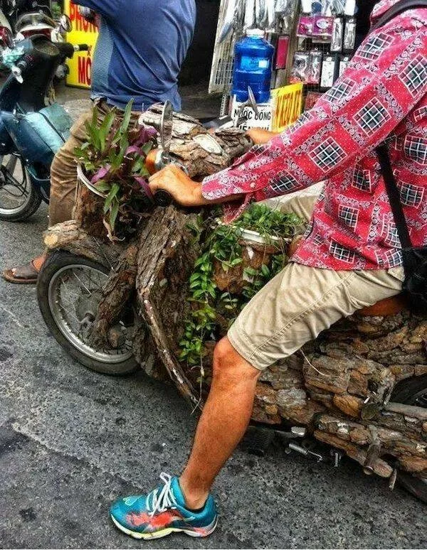 holz roller