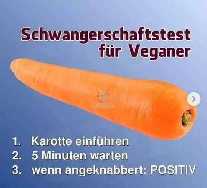 Was ist ein veganer Schwangerschaftstest? veganer-schwangeschaftstest